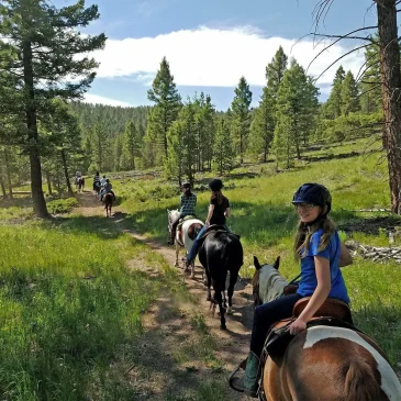 Turismo ecuestre en rutas naturales y a caballo